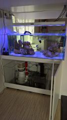 WP 20160613 10 40 17 Rich