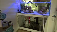 WP 20160613 10 40 08 Rich