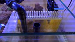 WP 20160622 19 30 28 Rich