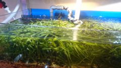 DSC_1029 - kopia.JPG