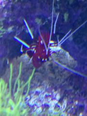 IMG 20160823 171843[1]