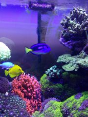 IMG 20160823 165342[1]