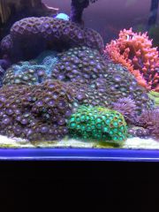 IMG 20160823 161427[1]