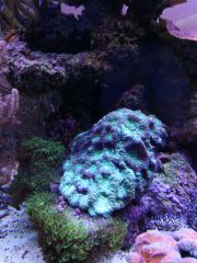 IMG 20160823 161256[1]