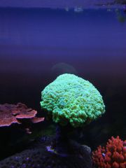 IMG 20160823 161401[1]