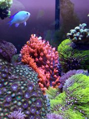 IMG 20160823 161408[1]