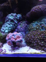 IMG 20160823 161304[1]