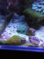 IMG 20160823 161433[1]