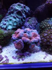 IMG 20160823 161326[1]