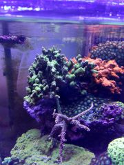 IMG 20160823 161515[1]