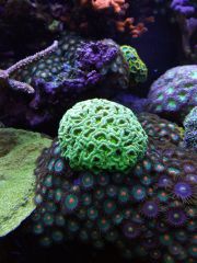 IMG 20160823 161521[1]