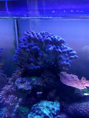 IMG 20160823 161511[1]