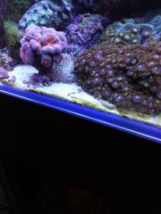 IMG 20160823 161308[1]