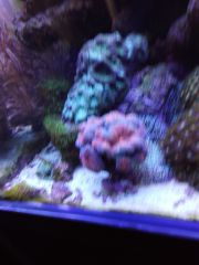 IMG 20160823 161305[1]