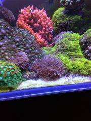 IMG 20160823 161423[1]