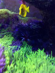 IMG 20160823 161813[1]