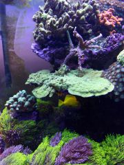 IMG 20160823 161417[1]