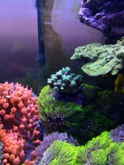 IMG 20160823 161413[1]