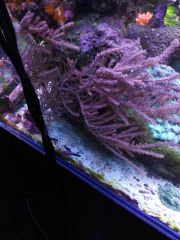 IMG 20160823 161502[1]