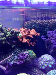 IMG 20160823 161524[1]