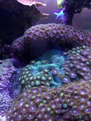 IMG 20160823 161439[1]