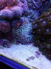 IMG 20160823 161450[1]