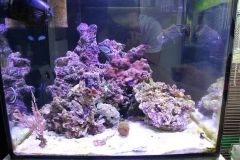 FB IMG 1474717831707