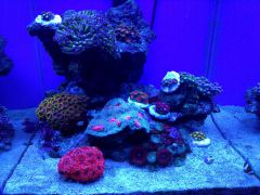 IMG 20160905 211521 HDR (Large)