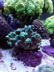 IMG 20160914 112619[1]