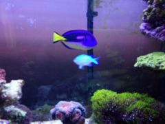 IMG 20160914 112508 4CS[1]