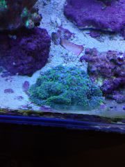 IMG 20160914 112639[1]