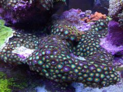 IMG 20160914 111943[1]