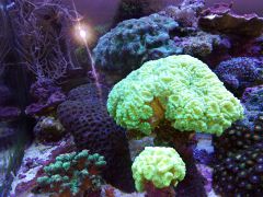 IMG 20160914 111652[2]