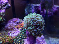 IMG 20160914 111937[1]