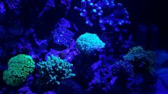 20161213 223648 resized