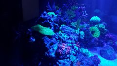 20161213 224428 resized