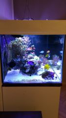 Olx image 2016 10 18 17 06 16