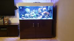 Olx image 2016 10 18 17 08 24