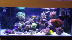 Olx image 2016 10 18 17 05 44