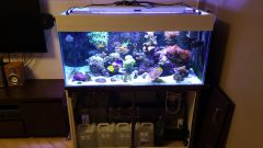 Olx image 2016 10 18 17 06 02