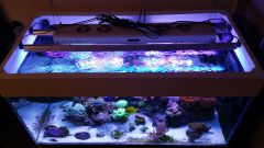 Olx image 2016 10 18 17 07 26