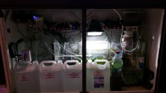 Olx image 2016 10 18 17 06 54