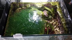 Olx image 2016 10 18 17 07 10