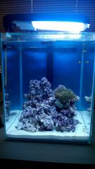 WP 20161106 10 38 31 Pro