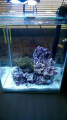 WP 20161106 10 39 20 Pro