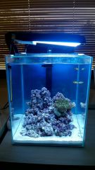 WP 20161106 10 39 09 Pro