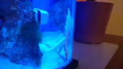 DSC 0030 1