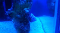 DSC 0055 1