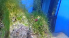 DSC 0013 1