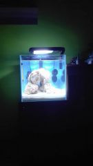 15589704 1242254232511336 3888677994483074740 N